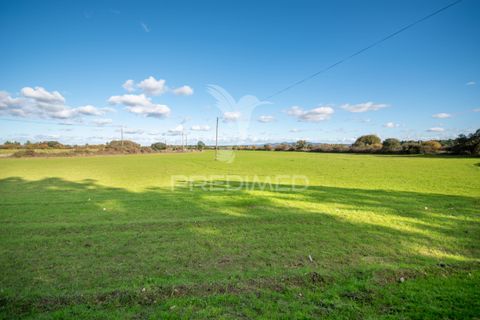 Farm hus i Meda, Guarda, Meda - € 310.000 | Ref: 059099 - foto 26