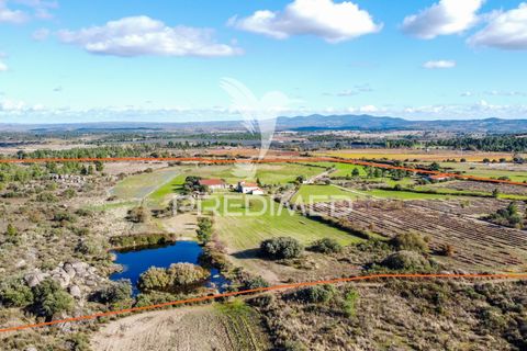 Farm hus i Meda, Guarda, Meda - € 310.000 | Ref: 059099 - foto 27