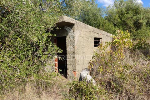 Helårsgrund i Ourem, Santarem, Ourem - € 10.000 | Ref: 032816 - foto 4