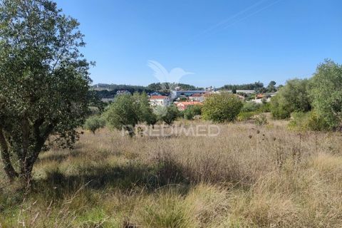 Helårsgrund i Ourem, Santarem, Ourem - € 10.000 | Ref: 032816 - foto 6