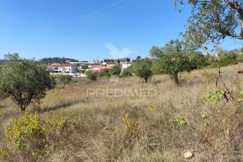 Helårsgrund i Ourem, Santarem, Ourem - € 10.000 | Ref: 032816 - foto 8