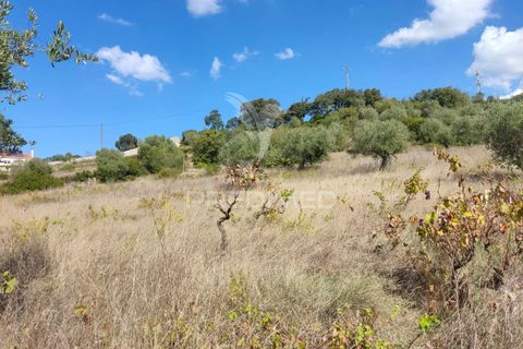 Helårsgrund i Ourem, Santarem, Ourem - € 10.000 | Ref: 032816 - foto 9