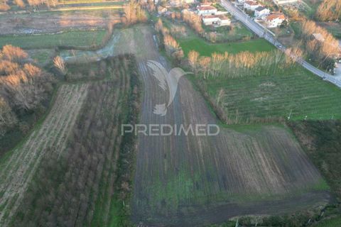 Helårsgrund i Guimaraes, Braga, Guimaraes - € 61.150 | Ref: 034248 - foto 1