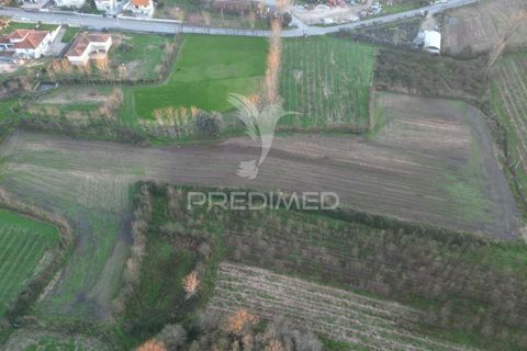 Helårsgrund i Guimaraes, Braga, Guimaraes - € 61.150 | Ref: 034248 - foto 2