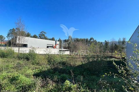 Helårsgrund i Guimaraes, Braga, Guimaraes - € 105.000 | Ref: 034885 - foto 12