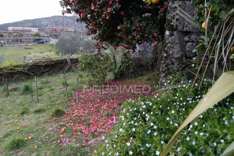 Byhus i Tondela, Viseu, Tondela - € 97.500 | Ref: 035416 - foto 14