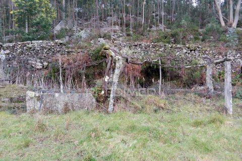 Byhus i Tondela, Viseu, Tondela - € 97.500 | Ref: 035416 - foto 15