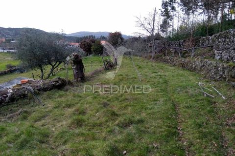 Byhus i Tondela, Viseu, Tondela - € 97.500 | Ref: 035416 - foto 18