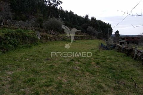 Byhus i Tondela, Viseu, Tondela - € 97.500 | Ref: 035416 - foto 19