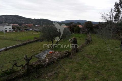 Byhus i Tondela, Viseu, Tondela - € 97.500 | Ref: 035416 - foto 20