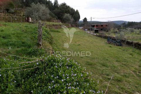 Byhus i Tondela, Viseu, Tondela - € 97.500 | Ref: 035416 - foto 21