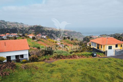 Helårsgrund i Santana, Madeira, Santana - € 113.000 | Ref: 036266 - foto 5