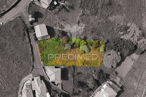 Helårsgrund i Santana, Madeira, Santana - € 113.000 | Ref: 036266 - foto 6