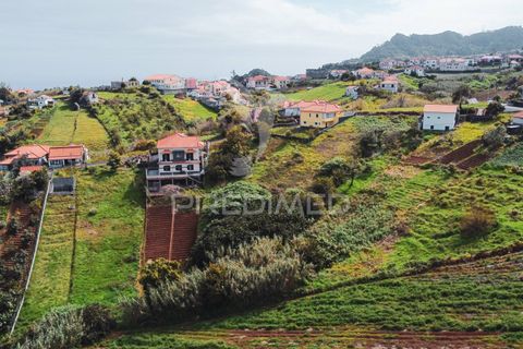 Helårsgrund i Santana, Madeira, Santana - € 113.000 | Ref: 036266 - foto 13