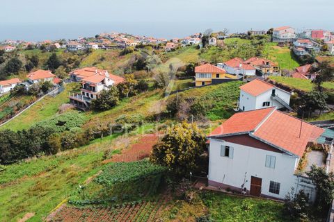 Helårsgrund i Santana, Madeira, Santana - € 113.000 | Ref: 036266 - foto 15