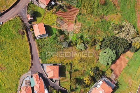 Helårsgrund i Santana, Madeira, Santana - € 113.000 | Ref: 036266 - foto 17