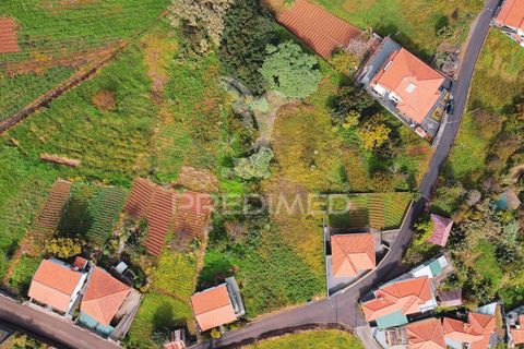 Helårsgrund i Santana, Madeira, Santana - € 113.000 | Ref: 036266 - foto 18