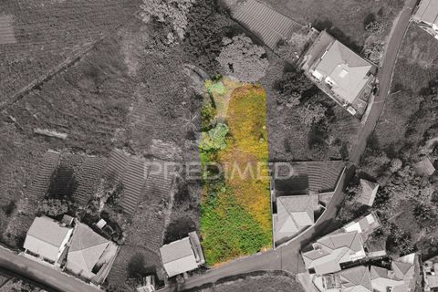 Helårsgrund i Santana, Madeira, Santana - € 113.000 | Ref: 036266 - foto 19
