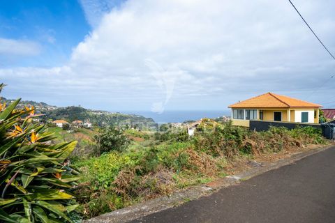Helårsgrund i Santana, Madeira, Santana - € 113.000 | Ref: 036266 - foto 21