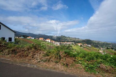 Helårsgrund i Santana, Madeira, Santana - € 113.000 | Ref: 036266 - foto 22