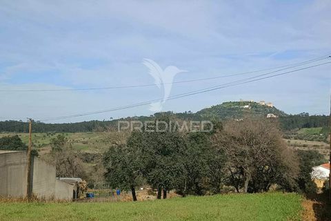 Helårsgrund i Ourem, Santarem, Ourem - € 50.000 | Ref: 036778 - foto 4