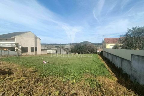 Helårsgrund i Ourem, Santarem, Ourem - € 50.000 | Ref: 036778 - foto 5