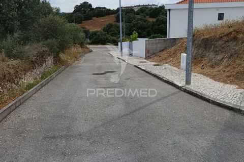 Terra a Alcanena, Santarem, Alcanena - € 44.500 | Ref: 037566 - foto 2