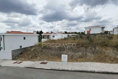 Terra a Alcanena, Santarem, Alcanena - € 44.500 | Ref: 037566 - foto 7