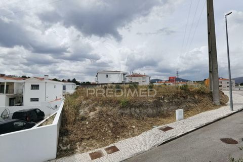 Terra a Alcanena, Santarem, Alcanena - € 44.500 | Ref: 037566 - foto 8
