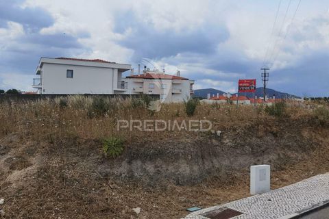 Terra a Alcanena, Santarem, Alcanena - € 44.500 | Ref: 037566 - foto 9