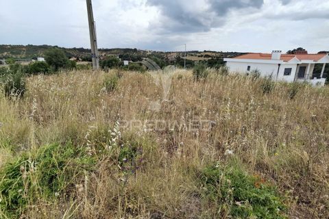Terra a Alcanena, Santarem, Alcanena - € 44.500 | Ref: 037566 - foto 12