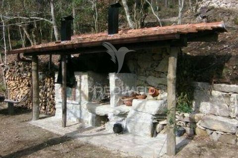 Farm hus i Sever do Vouga, Aveiro, Sever do Vouga - € 350.000 | Ref: 039743 - foto 37