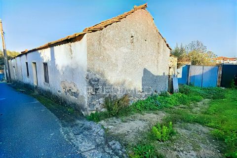 Byhus i Alcanena, Santarem, Alcanena - € 46.500 | Ref: 041023 - foto 3