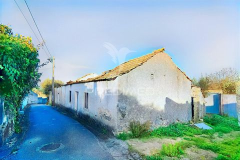 Byhus i Alcanena, Santarem, Alcanena - € 46.500 | Ref: 041023 - foto 5