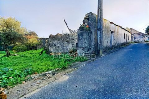 Byhus i Alcanena, Santarem, Alcanena - € 46.500 | Ref: 041023 - foto 8