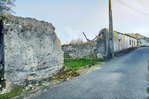 Byhus i Alcanena, Santarem, Alcanena - € 46.500 | Ref: 041023 - foto 9