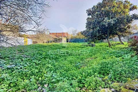 Byhus i Alcanena, Santarem, Alcanena - € 46.500 | Ref: 041023 - foto 12