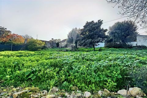 Byhus i Alcanena, Santarem, Alcanena - € 46.500 | Ref: 041023 - foto 13