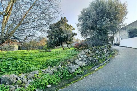 Byhus i Alcanena, Santarem, Alcanena - € 46.500 | Ref: 041023 - foto 15