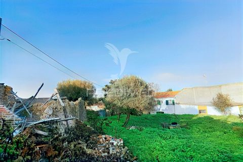 Byhus i Alcanena, Santarem, Alcanena - € 46.500 | Ref: 041023 - foto 23