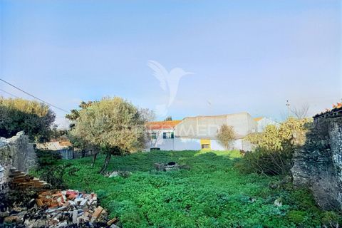 Byhus i Alcanena, Santarem, Alcanena - € 46.500 | Ref: 041023 - foto 24