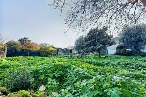 Byhus i Alcanena, Santarem, Alcanena - € 46.500 | Ref: 041023 - foto 28