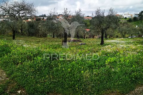 Helårsgrund i Leiria, Leiria, Leiria - € 45.000 | Ref: 042515 - foto 1