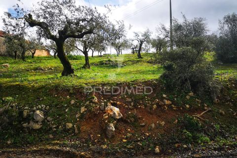 Helårsgrund i Leiria, Leiria, Leiria - € 45.000 | Ref: 042515 - foto 2