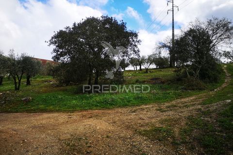 Helårsgrund i Leiria, Leiria, Leiria - € 45.000 | Ref: 042515 - foto 3