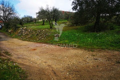Helårsgrund i Leiria, Leiria, Leiria - € 45.000 | Ref: 042515 - foto 4