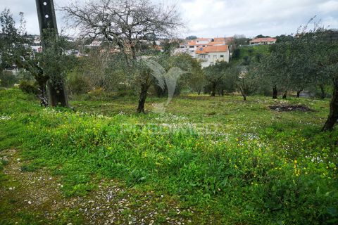 Helårsgrund i Leiria, Leiria, Leiria - € 45.000 | Ref: 042515 - foto 5