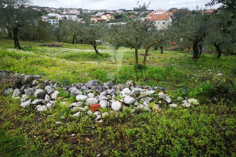 Helårsgrund i Leiria, Leiria, Leiria - € 45.000 | Ref: 042515 - foto 7