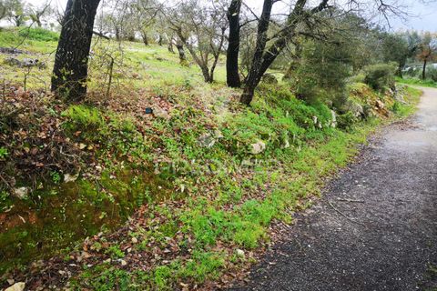 Helårsgrund i Leiria, Leiria, Leiria - € 45.000 | Ref: 042515 - foto 8