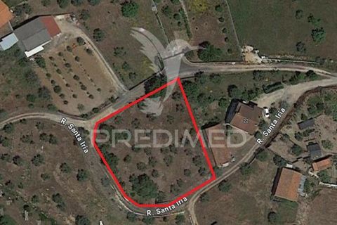 Helårsgrund i Leiria, Leiria, Leiria - € 45.000 | Ref: 042515 - foto 9